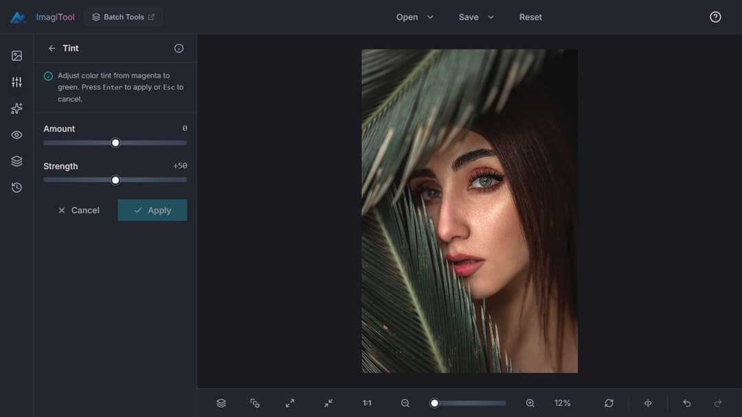 Image Tinter Free Image Tinter Online - Photo Tint Tool - ImagiTool