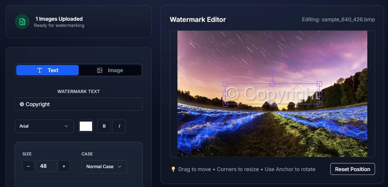 Upload logo or create text watermark with customization options